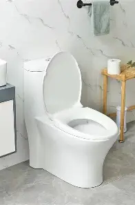 disabled toilet